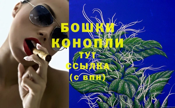 дурь Вяземский