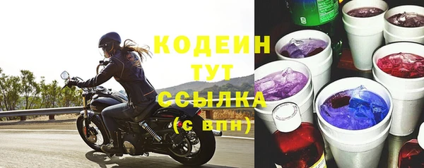 дурь Вяземский