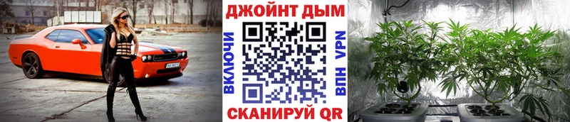 Конопля MAZAR  Лукоянов 